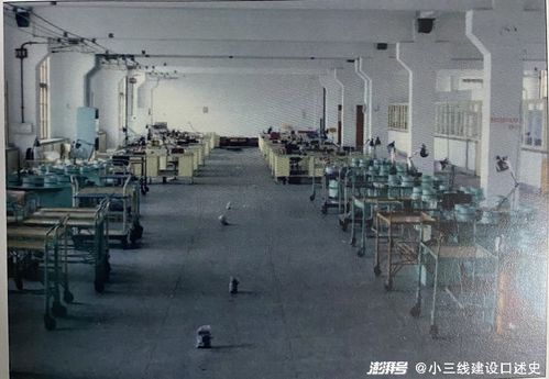 从军工电机到特种电机 上海小三线五洲电机厂凤凰涅槃之路