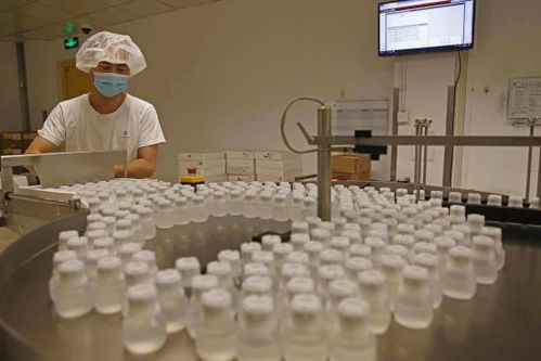 GE医疗坚定扎根中国信心,以更大规模参展第五届进博会